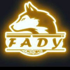 Fady Amir