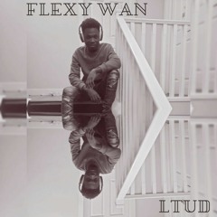 Flexy wan