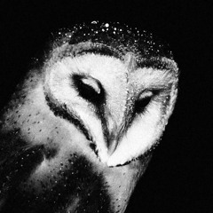 Black Dodge - BK - Harman - Snapchat Unreleased - Snippet