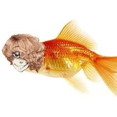 ⁺‧₊˚ ཐི⋆mei⋆ཋྀ ˚₊‧⁺