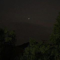 𝙺𝙷𝙾𝙻𝙾𝙳|🦩