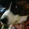 Shirley Jane Moore (Lady S)