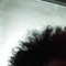 deadlybo¥