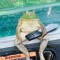 Sünu Dubz [🐸 ]