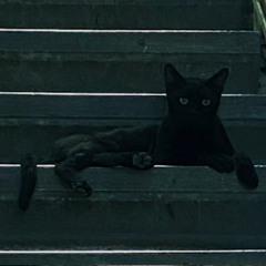 ᴴ°°ᴷᴬᴴ𓆙