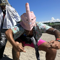rican_mohican