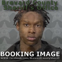 vonn.frm29