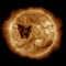 Coronal Butterfly