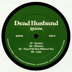 Dead Husband - They'll Be Fine Without You