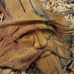 Frax (FraxinusCavum)