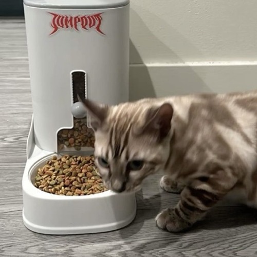 osamason - perfect timing