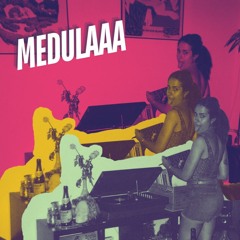 Medulaaa