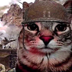 ✠︎ panzerhekse ✠︎