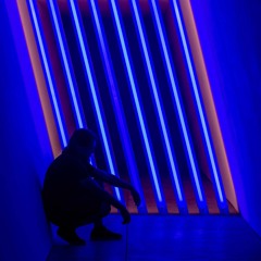 roamingjunkie