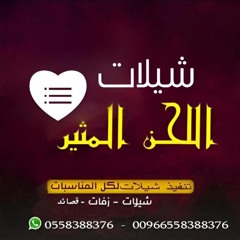 تنفيذ شيلات بالاسماء