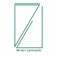 Brain Uploads