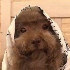 свенг