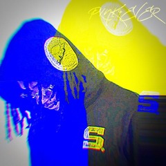 PXNK301