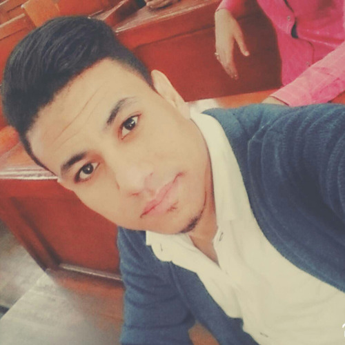 Ahmed Gamal Mansour’s avatar