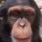 i like monke
