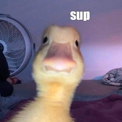 dukFriend