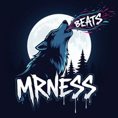 Mr Ness