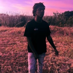 TerryFantasma