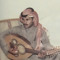Abu Faisal