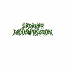 Cadaver Decomposition