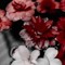 ࣪ ִֶָ☾.𖥔 ݁ ˖☁︎