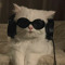 nyanlazy