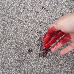 罪のない血が流されます