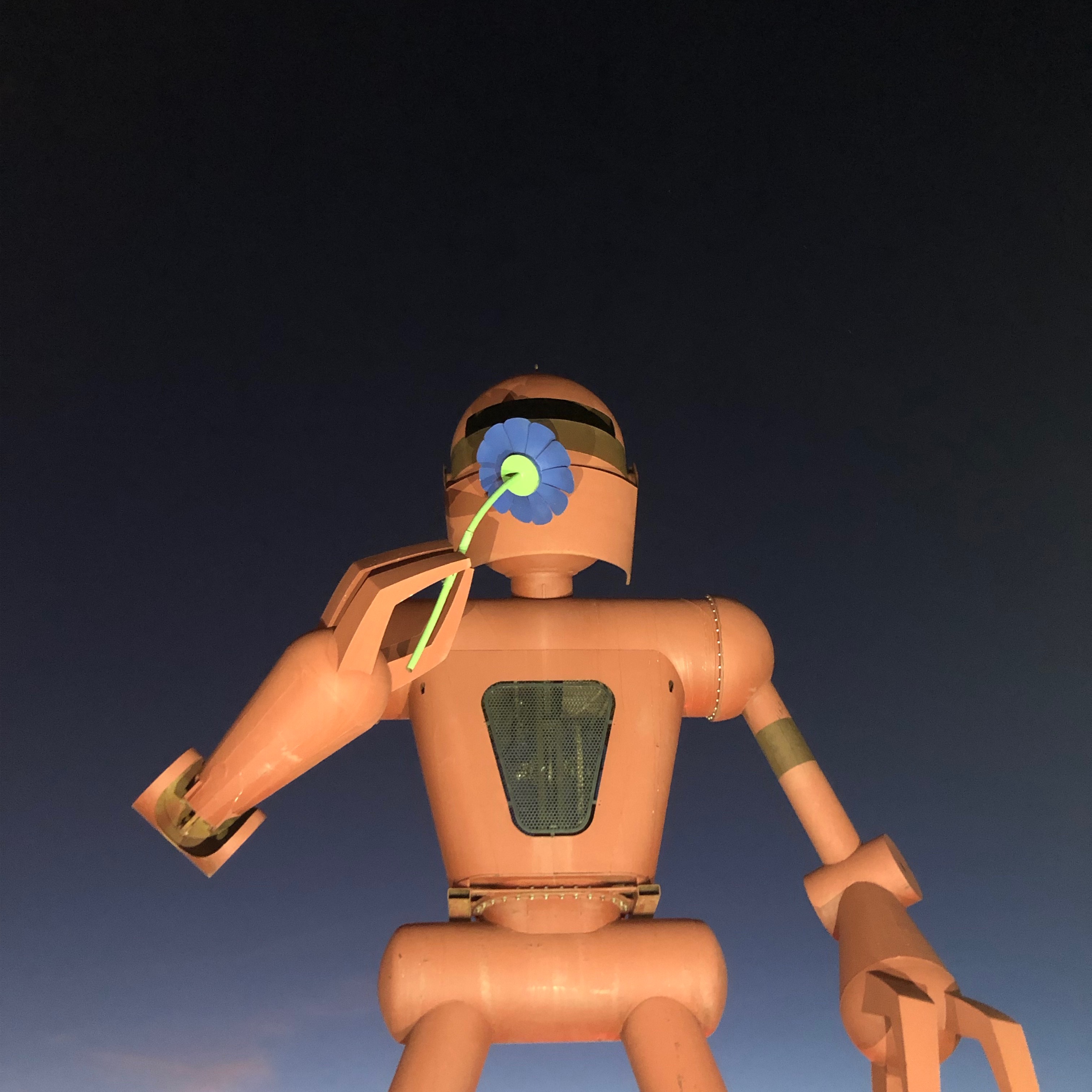 Elixer