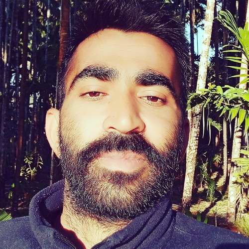 Tej Singh chundawat’s avatar