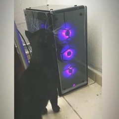 Voix