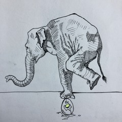 Elephants & Eggshells