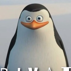 Private The Penguin 🐧