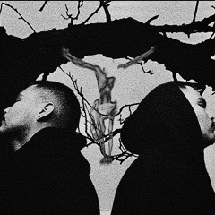 bucktommydistinguish