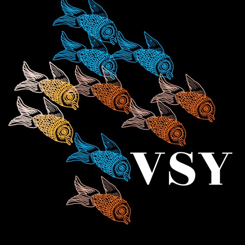 VSY’s avatar