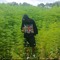 Enidra_X