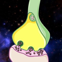 CelestialSynapse