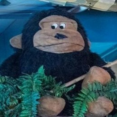 monkey joe’s avatar