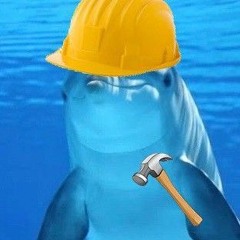 DolphinBuilder