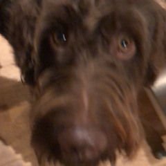 charliew3lch