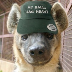 i eat hand grenades