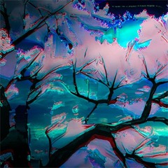 S E I K E N