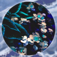 t.dambrosia