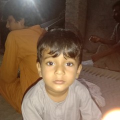 Shahid Ranjha