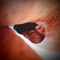Asquare_ng