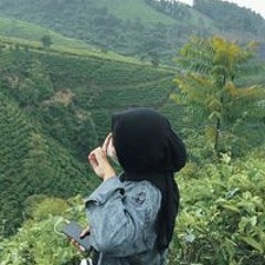 أروىٰ أيوب.